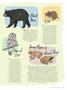 Page: - 45 | Dartmouth Alumni Magazine