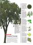 Page: - 25 | Dartmouth Alumni Magazine