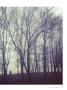 Page: - 47 | Dartmouth Alumni Magazine