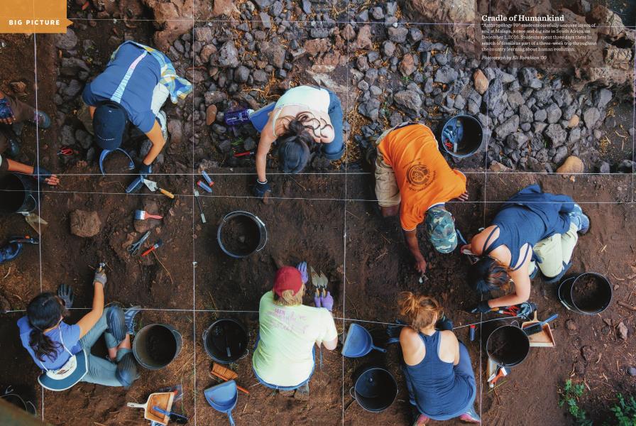 Cradle of Humankind