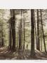 Page: - 55 | Dartmouth Alumni Magazine