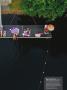 Page: - 7 | Dartmouth Alumni Magazine