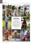 Page: - 29 | Dartmouth Alumni Magazine