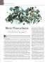 Page: - 35 | Dartmouth Alumni Magazine