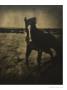 Page: - 41 | Dartmouth Alumni Magazine
