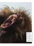 Page: - 49 | Dartmouth Alumni Magazine