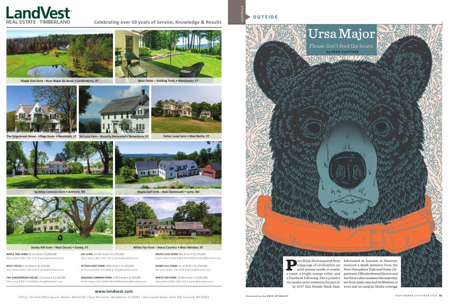 Ursa Major