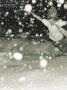 Page: - 4 | Dartmouth Alumni Magazine
