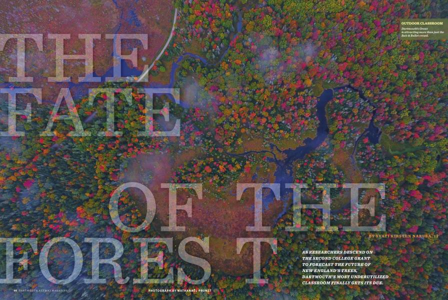 The Fate of the Forest