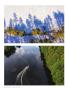 Page: - 46 | Dartmouth Alumni Magazine
