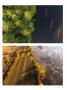 Page: - 47 | Dartmouth Alumni Magazine