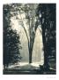 Page: - 47 | Dartmouth Alumni Magazine