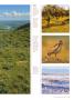 Page: - 39 | Dartmouth Alumni Magazine