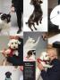 Page: - 2 | Dartmouth Alumni Magazine