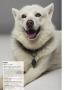 Page: - 30 | Dartmouth Alumni Magazine