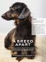 Page: - 31 | Dartmouth Alumni Magazine
