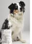 Page: - 32 | Dartmouth Alumni Magazine