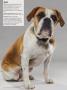 Page: - 34 | Dartmouth Alumni Magazine
