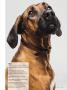 Page: - 35 | Dartmouth Alumni Magazine