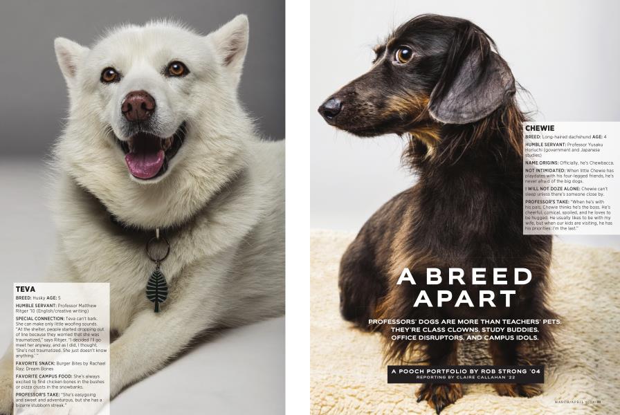A Breed Apart
