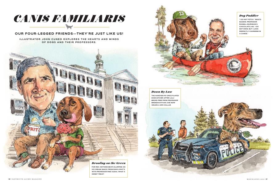 Canis Familiaris