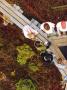 Page: - 2 | Dartmouth Alumni Magazine