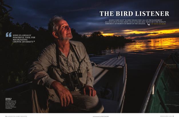 The Bird Listener