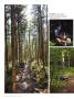 Page: - 38 | Dartmouth Alumni Magazine