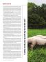 Page: - 36 | Dartmouth Alumni Magazine