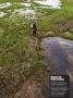 Page: - 3 | Dartmouth Alumni Magazine