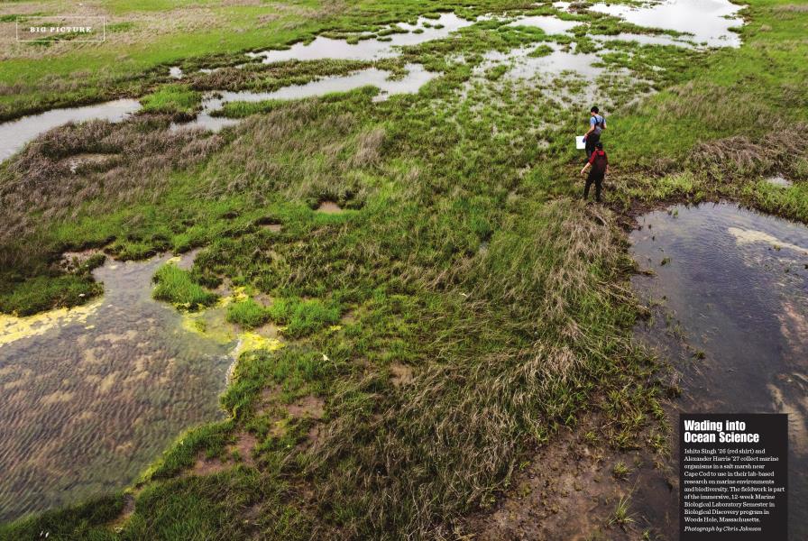 Wading into Ocean Science